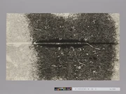 作品画像