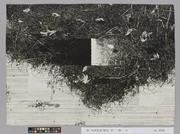 作品画像