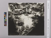 作品画像