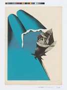 作品画像