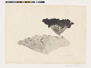 作品画像
