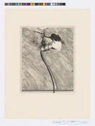 作品画像