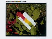 作品画像