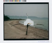 作品画像