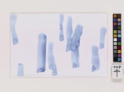 作品画像
