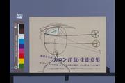 作品画像