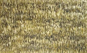 作品画像