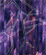 作品画像