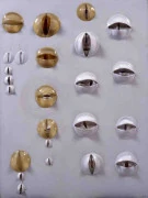 作品画像
