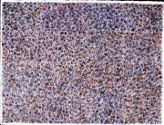 作品画像