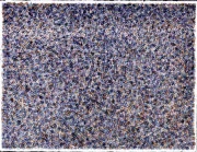 作品画像