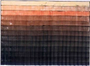 作品画像