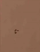 作品画像