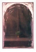 作品画像