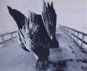 作品画像
