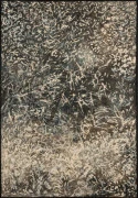 作品画像