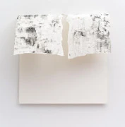 作品画像