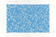 作品画像