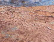 作品画像