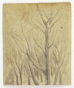 作品画像