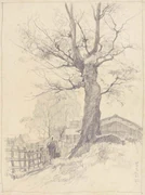 作品画像