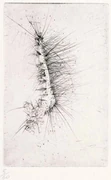 作品画像