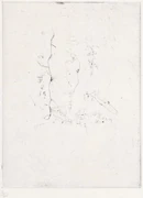 作品画像
