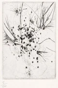 作品画像