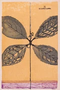 作品画像