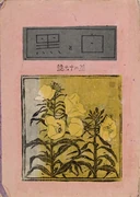 作品画像
