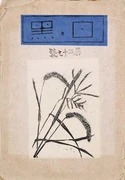 作品画像