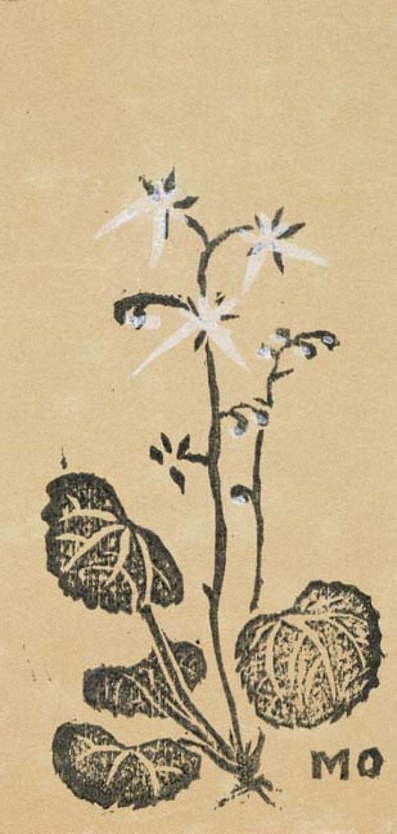 MORI Doshun, 雪の下 | Art Platform Japan (APJ)