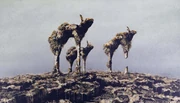 作品画像