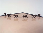 作品画像