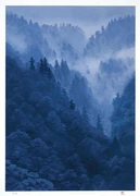 作品画像
