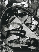 作品画像