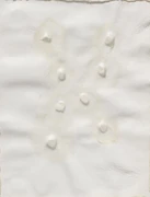 作品画像