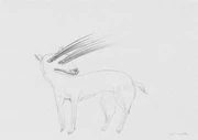 作品画像