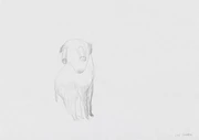 作品画像