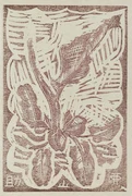 作品画像