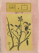 作品画像