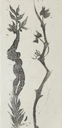 作品画像