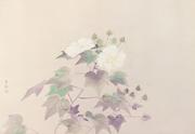 作品画像