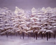 作品画像