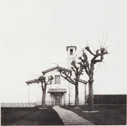 作品画像