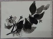 作品画像