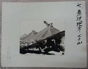 作品画像