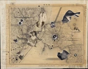 作品画像
