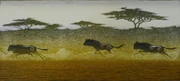 作品画像