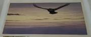 作品画像